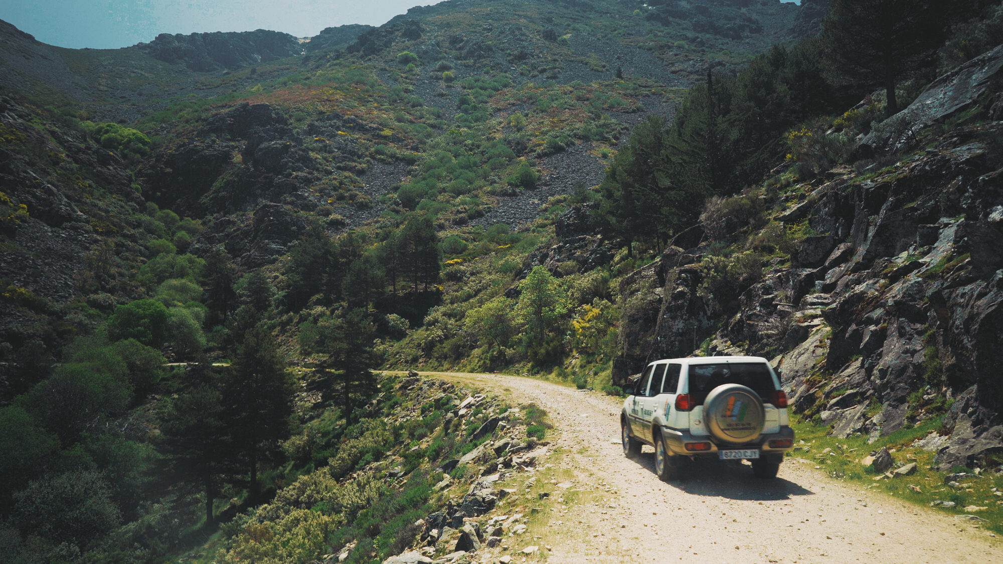 Vive Ambroz 4 - Daniel Alonso Rubio