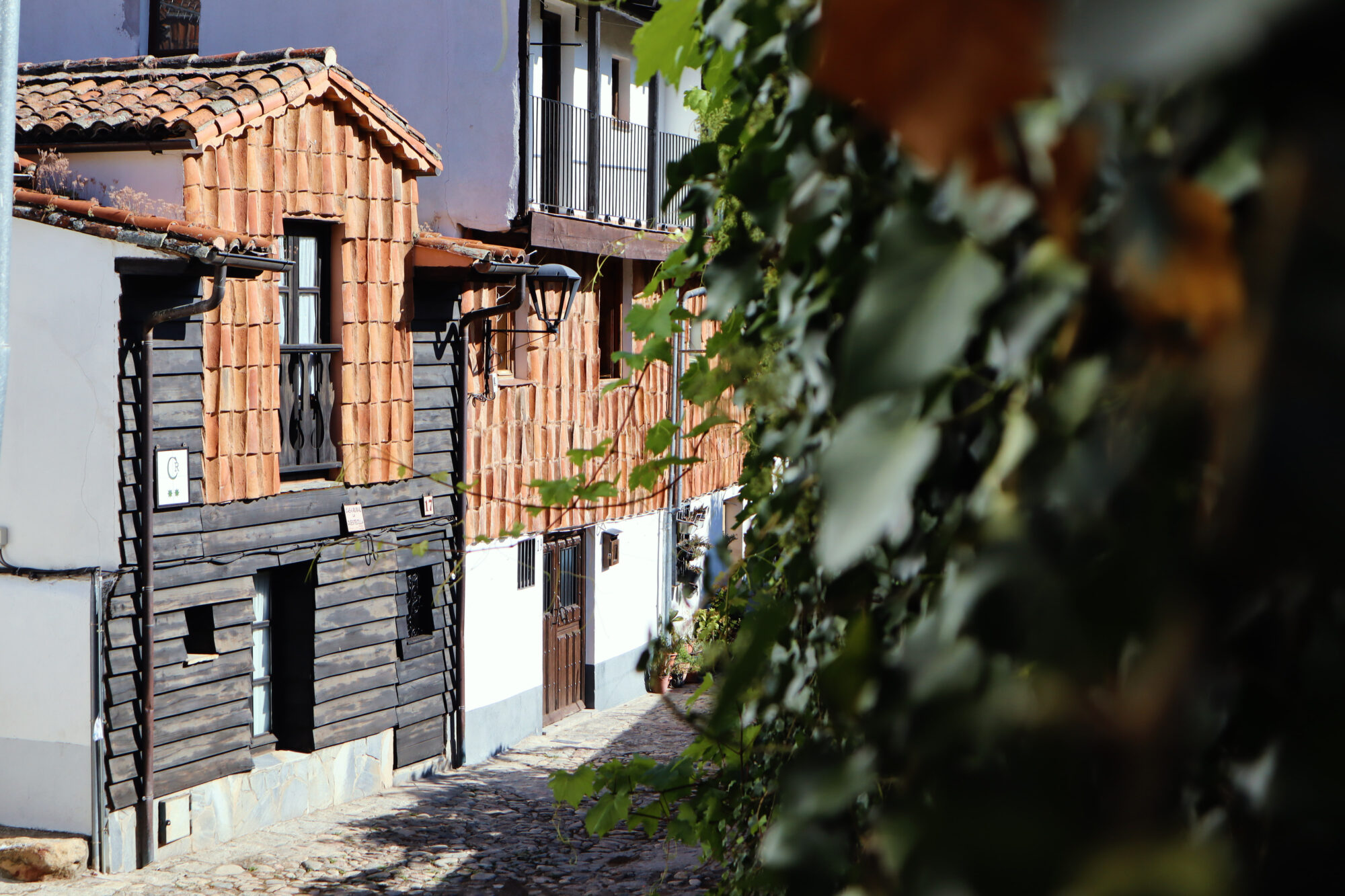 Cuestecilla - JULIA VAZQUEZ