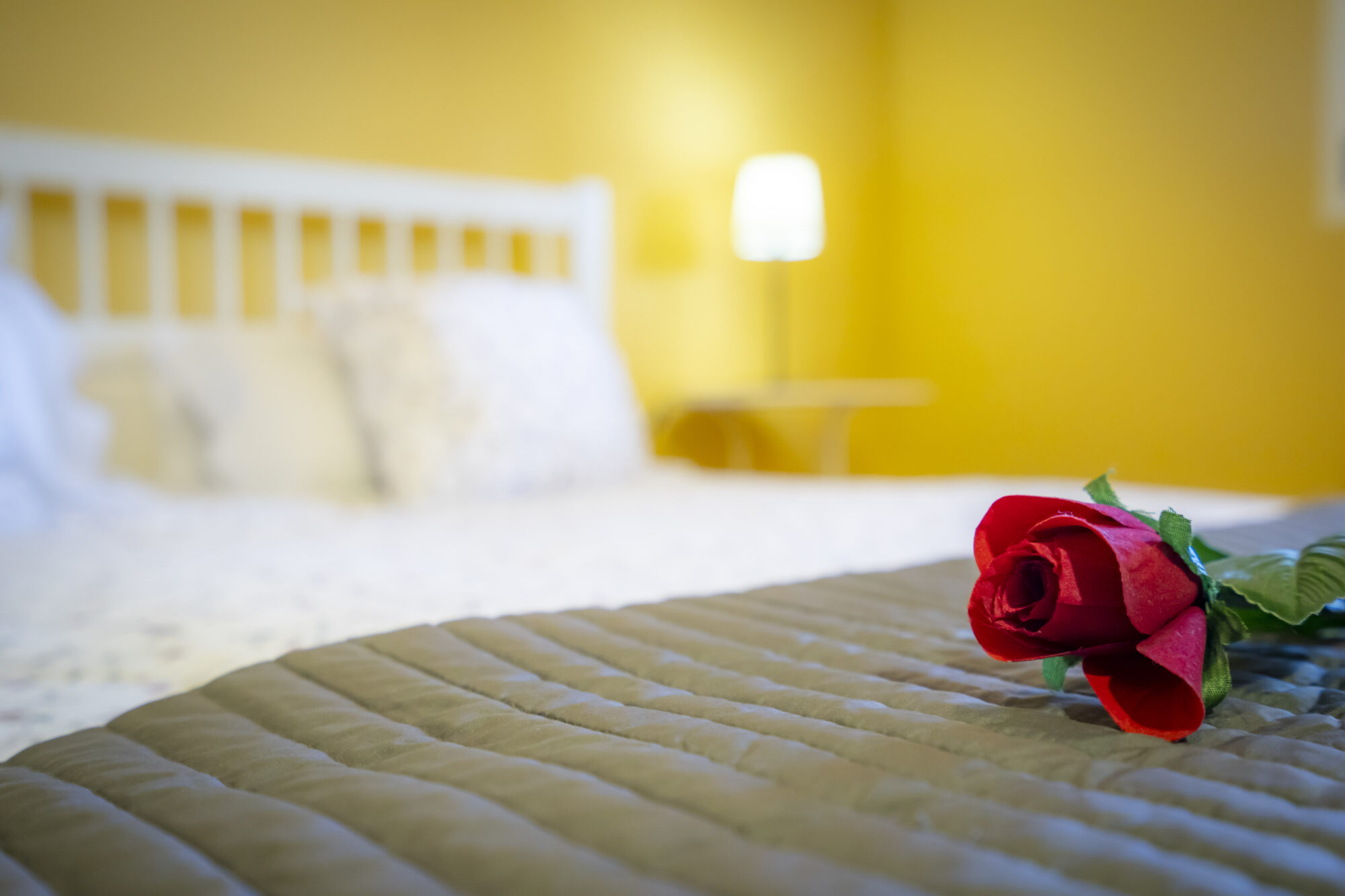 aa-DSC01764 - Sabores Hurdanos