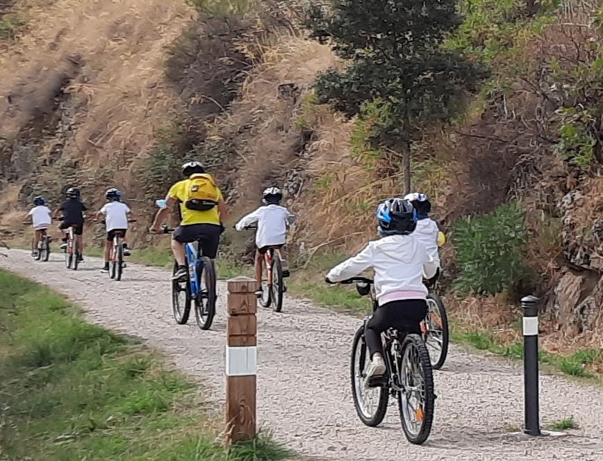 BicisAmbroz2 - Palmira Valencia Iglesias