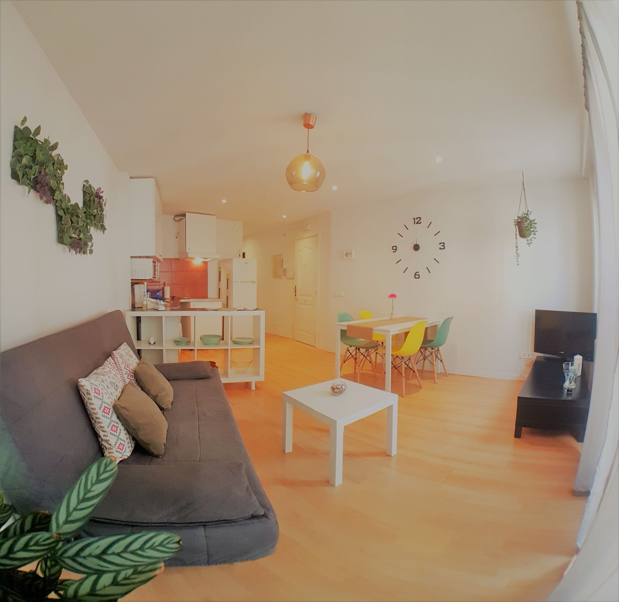 Golondrina II - Salon