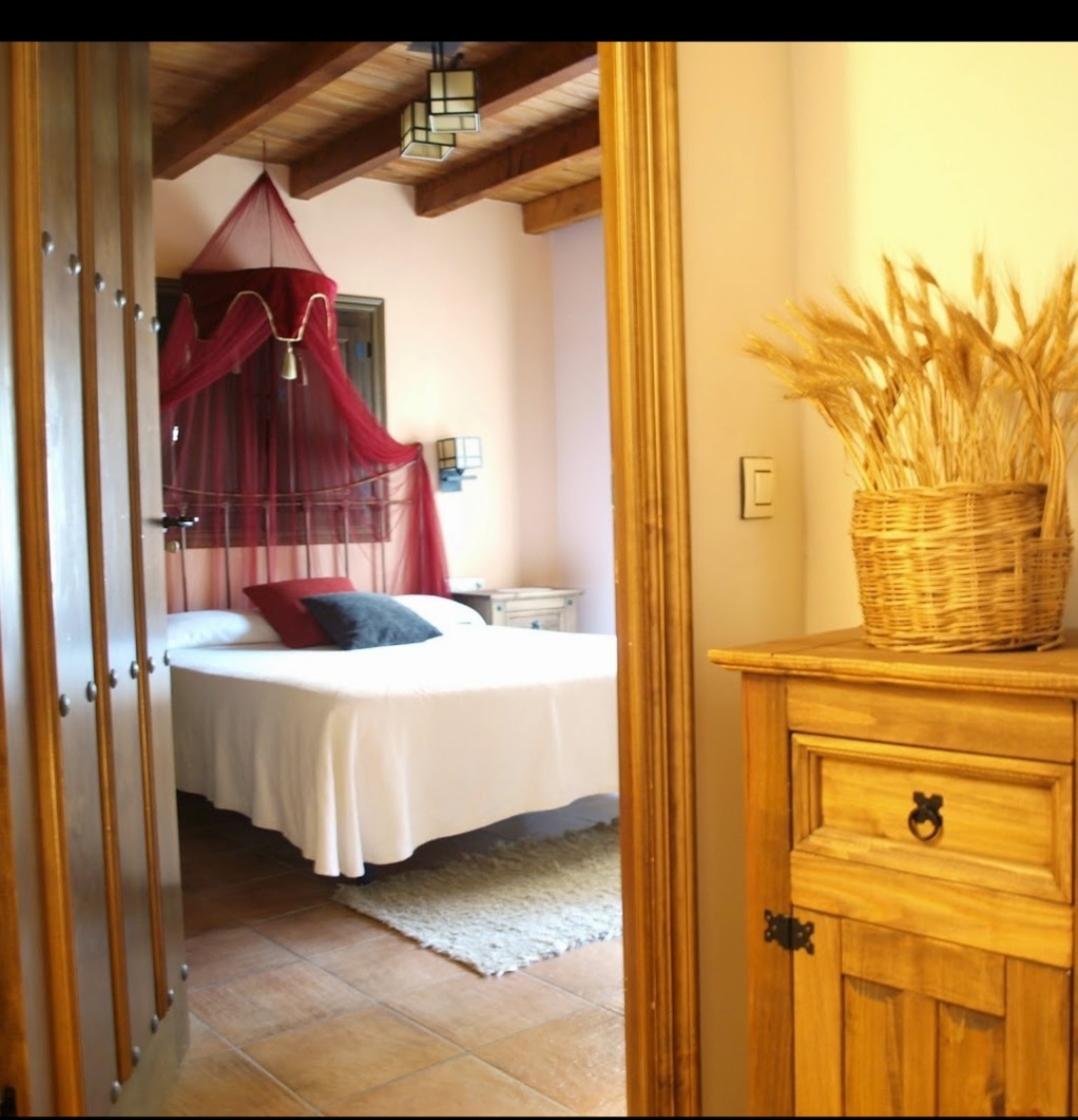 Screenshot_20190402_152136 - Casa Rural El Olivo