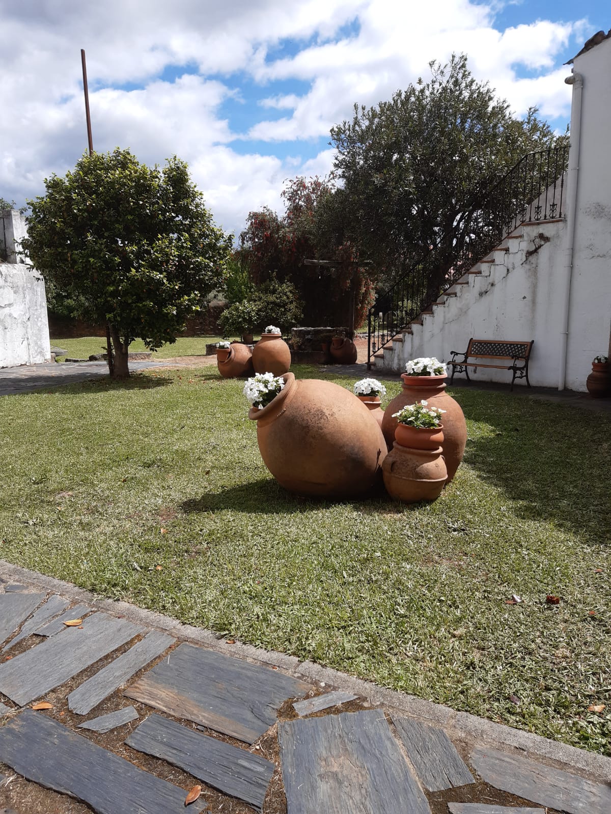 IMG-20210511-WA0004 - HOTEL RURAL DON JULIO