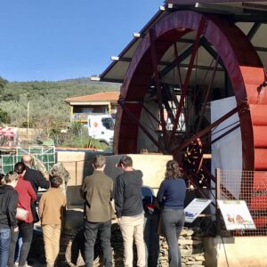 Visita al Centro de Interpretación de la Aceituna, el olivar y el Aceite de la familia Oleosetin en Marchagaz