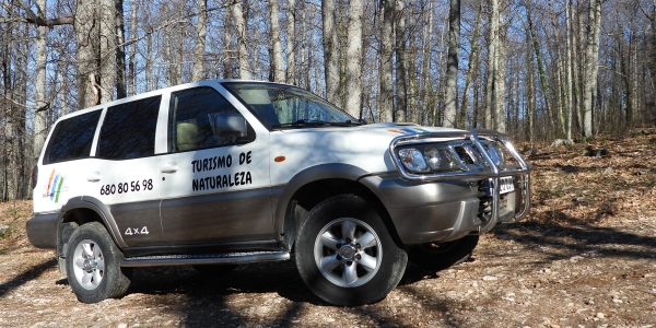 9caa2793658f3cc387f216157300b1ce_L