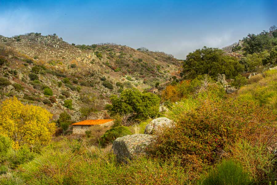 Ruta-de-los-Molinos-Montanchez-sierra-de-montanchez-y-tamuja