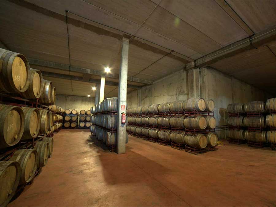 bodegas-geoparque-villuercas-ibores-jara