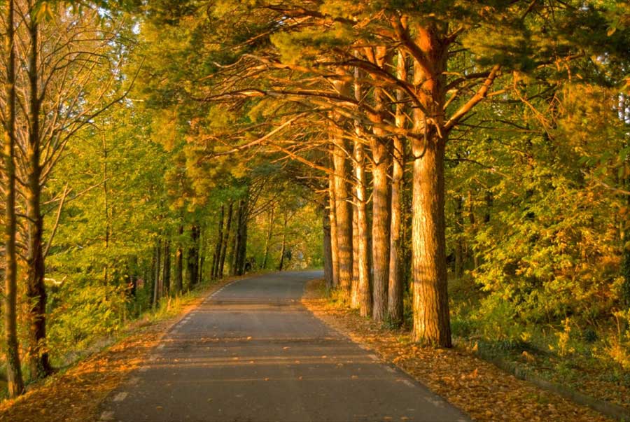 paseo-valle-del-ambroz