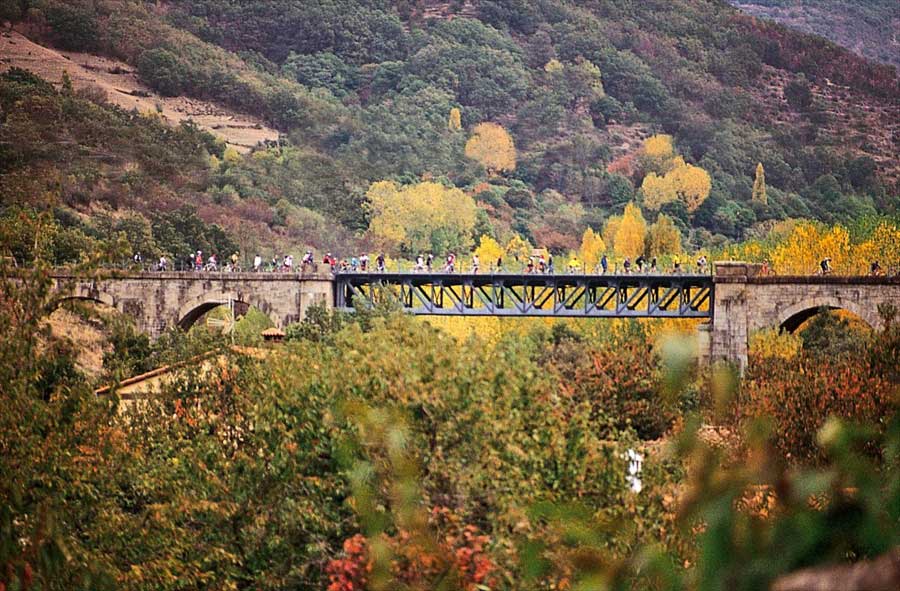 puente-de-hierro-de-hervas-valle-del-ambroz