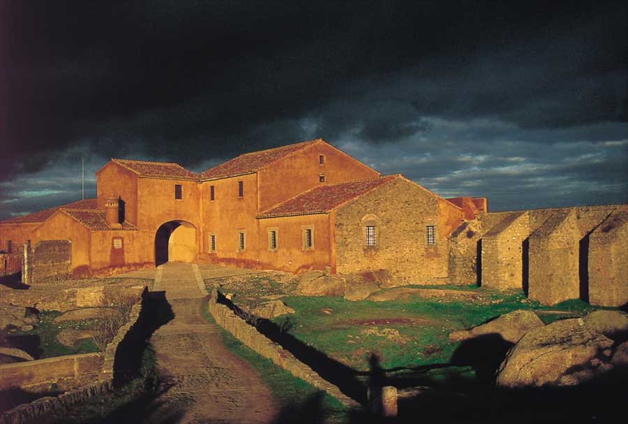 tajo-salor-almonte